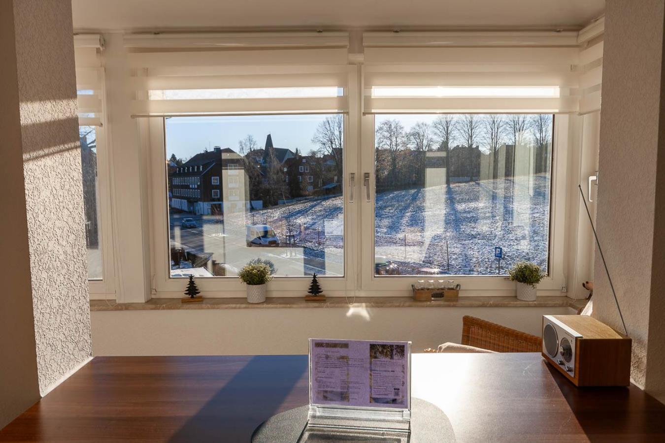 Apartment Sonnenschein In Der Harzer Flair *